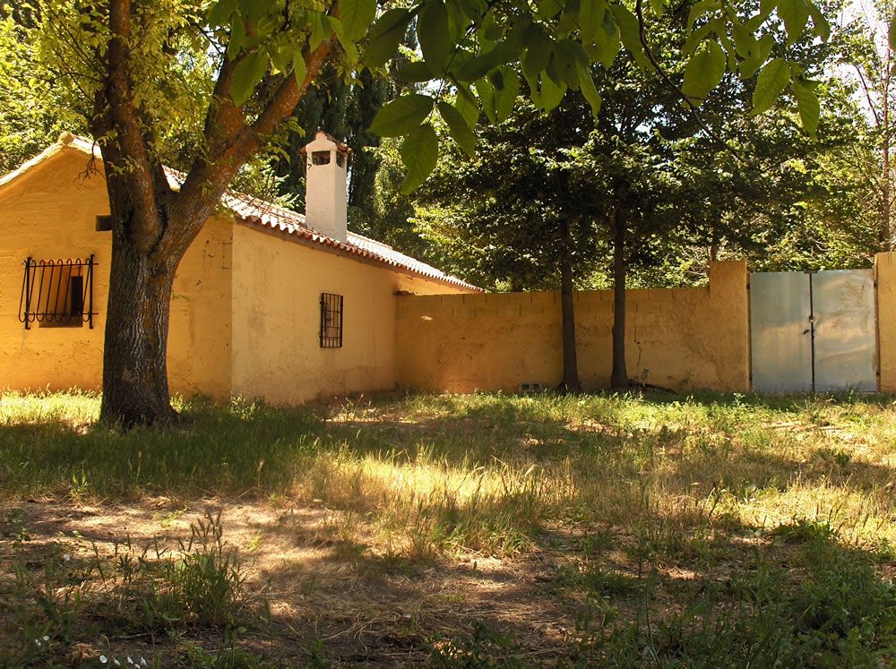 TERRENO DE LABOR + CASA 